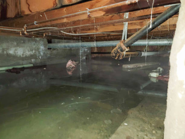 Best Commercial water damage restoration  in Addison, TX