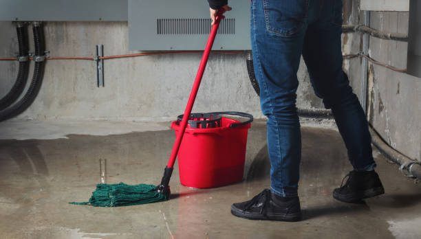 Best Basement water damage restoration  in Addison, TX