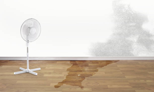 Addison, TX Water damage restoration Company