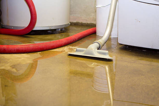 Best Fire Damage Restoration  in Addison, TX