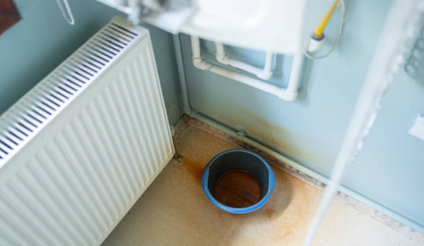 Best Water damage cleanup near me  in Addison, TX