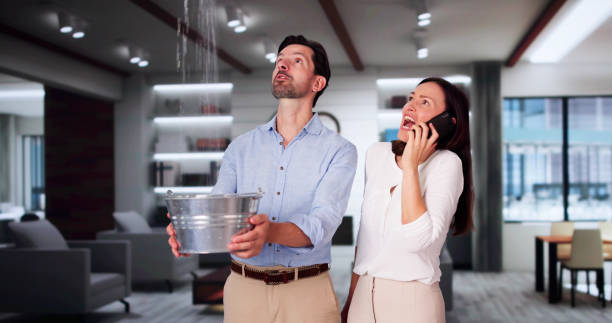 Best Flooded house restoration  in Addison, TX