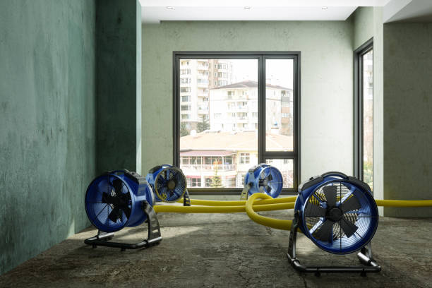 Best Ceiling water damage repair  in Addison, TX
